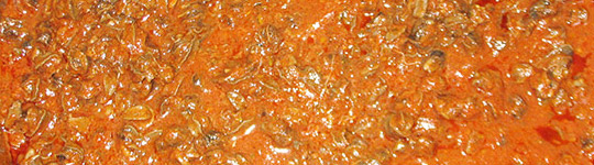Sagra della Lumaca di Cantalupo di Bevagna - ricetta delle lumache al sugo