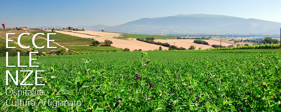 Paesaggio collinare di Cantalupo di Bevagna (Pg) con vista della Cantina Tenuta Castelbuono disegnata da Arnaldo Pomodoro