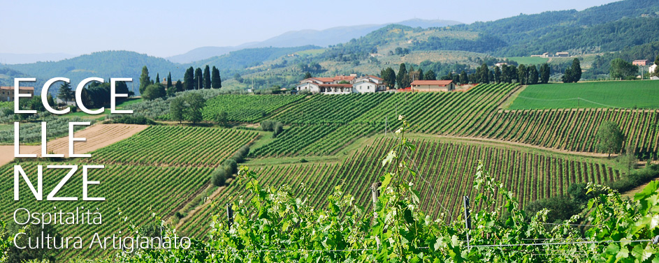 Panorama di Cantalupo di Bevagna (Pg) con i vigneti di Sagrantino e Sangiovese della Cantina Dionigi