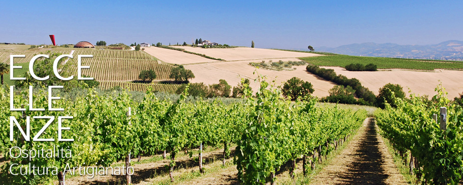 Vigneti a Cantalupo di Bevagna (Perugia) con vista sulla Cantina Tenuta Castelbuono disegnata da Arnaldo Pomodoro