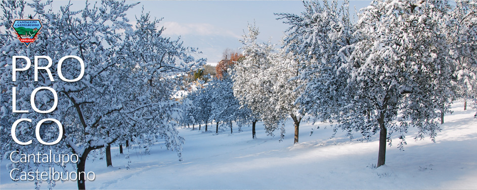 Inverno a Cantalupo di Bevagna (Pg) Umbria